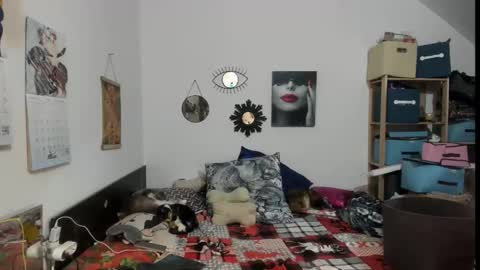 switchlorenx online show from 02/13/26, 11:45