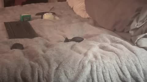 SissyDenver online show from 09/14/25, 09:30