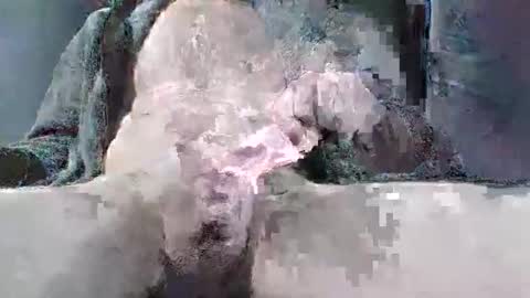 sybomec online show from 03/25/26, 02:34