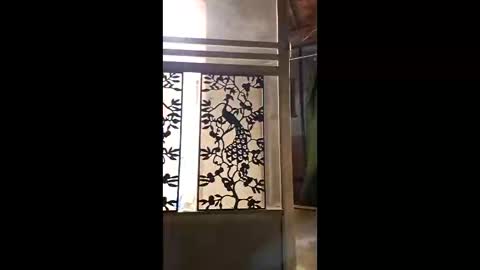 syevecrl online show from 02/11/26, 01:54