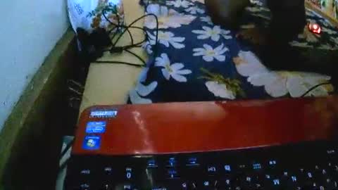 Snapshot of sylviasexy27 chatting on 11/18/25, 09:36 sylviasexy27 online show from 11/18/25, 09:36