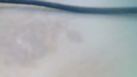 Snapshot of syrius57920 chatting on 12/05/24, 08:22 syrius57920 online show from 12/05/24, 08:22