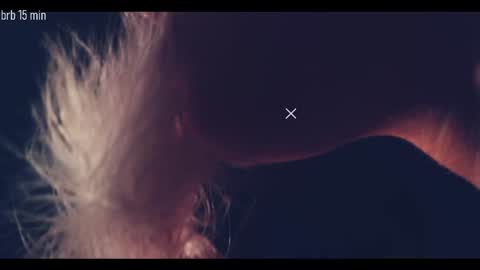 TAANNI online show from 09/18/25, 10:34