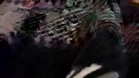 Canon online show from 03/21/26, 06:11