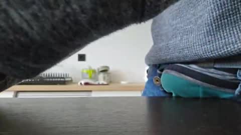 taconatatox online show from 12/02/24, 01:35