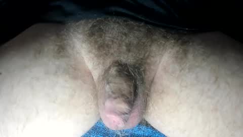 mr taco online show from 02/13/25, 03:35