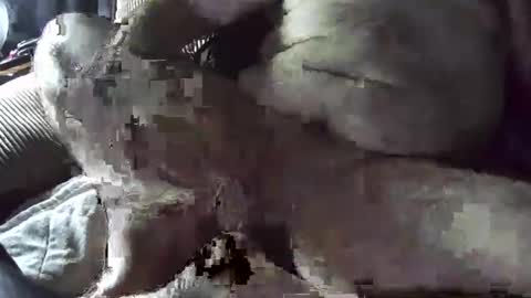 Snapshot of tacozod chatting on 01/02/25, 10:33 tacozod online show from 01/02/25, 10:33