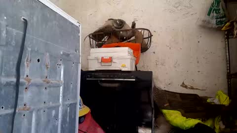 tadfn online show from 02/27/26, 07:47