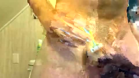 tailblazzer online show from 10/14/25, 10:49