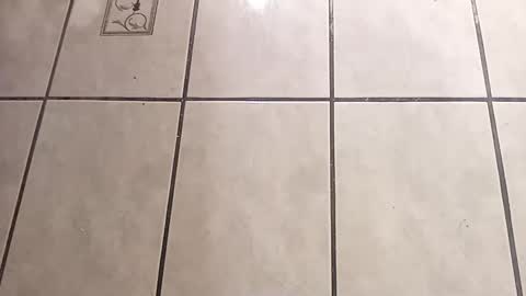 Snapshot of tall6feet7inch chatting on 10/01/25, 09:04 tall6feet7inch online show from 10/01/25, 09:04