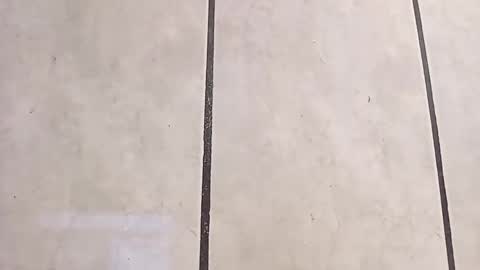 Snapshot of tall6feet7inch chatting on 10/06/25, 12:02 tall6feet7inch online show from 10/06/25, 12:02