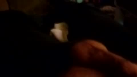 Snapshot of talldrink62 chatting on 10/26/25, 10:43 The Man of Steel online show from 10/26/25, 10:43