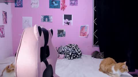 Snapshot of tamako_kitty__ chatting on 12/14/24, 06:02 Alejandra Independent model online show from 12/14/24, 06:02