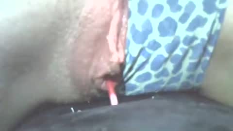 tamesbury online show from 11/02/25, 02:25