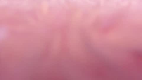 Snapshot of tamy_ian chatting on 01/31/25, 10:42 Tamy ian online show from 01/31/25, 10:42