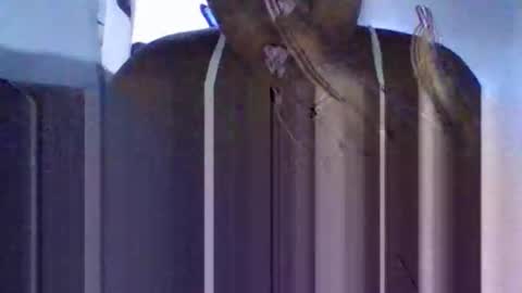 Snapshot of tanaya1 chatting on 10/10/25, 05:28 Tanaya1 online show from 10/10/25, 05:28