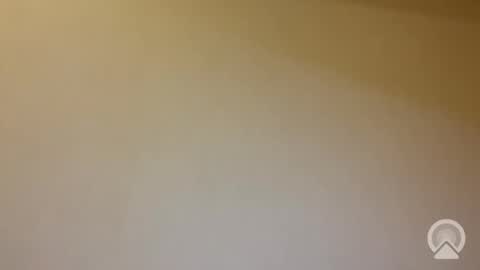 tanelure online show from 01/31/26, 08:07