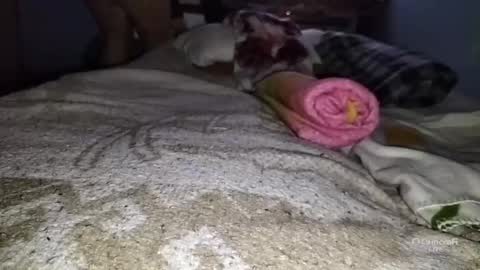 tangaxhentai3 online show from 01/06/25, 12:48