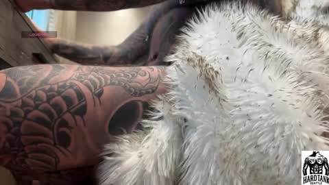 Tank Guy online show from 04/02/26, 09:45