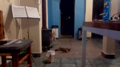 tanobi70 online show from 04/18/26, 01:31