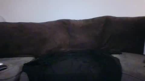 tarshil017 online show from 11/12/25, 08:26