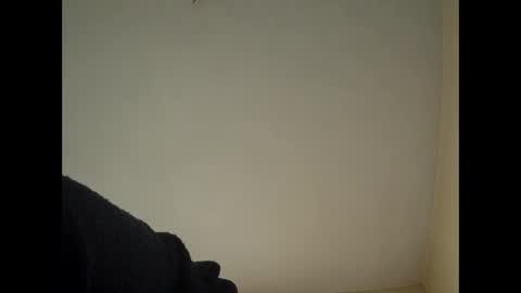 Beliqnegar online show from 02/14/26, 07:49