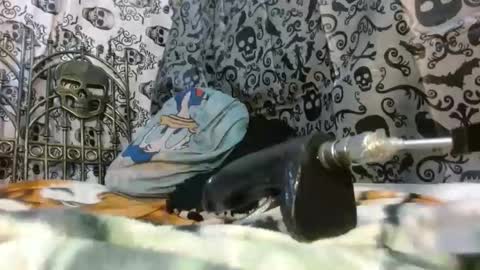 Katty badbitch online show from 10/24/25, 09:55