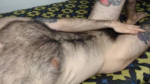 Taylor online show from 01/12/26, 05:51