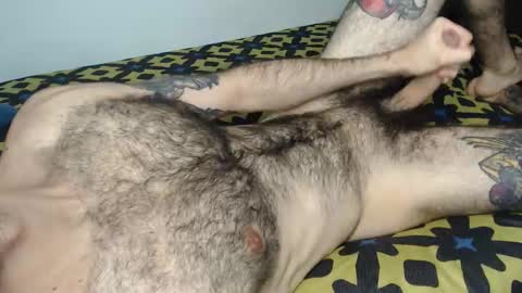 Taylor online show from 01/17/26, 03:39