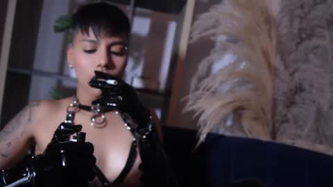 Taylor online show from 10/07/25, 07:00