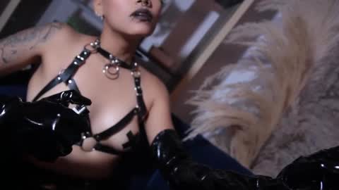 Taylor online show from 10/25/25, 04:24