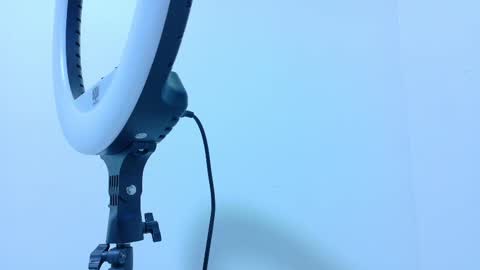 TAYLOR  online show from 11/13/25, 11:53