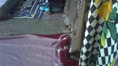 teabody1 online show from 03/08/26, 08:12