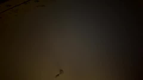 teecup4osk online show from 02/08/26, 04:38