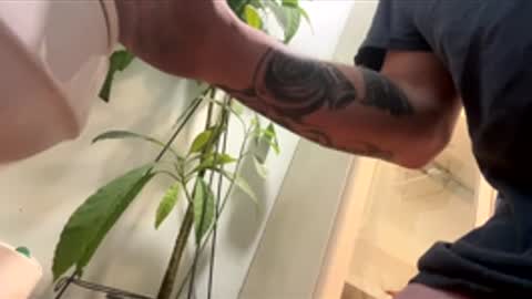 teet69 online show from 03/10/26, 10:15