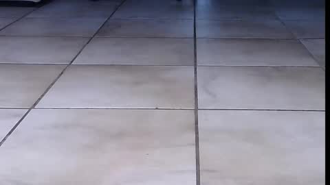 teninchheels online show from 09/16/25, 06:31