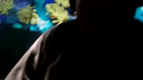 tennesseea online show from 11/23/25, 03:23