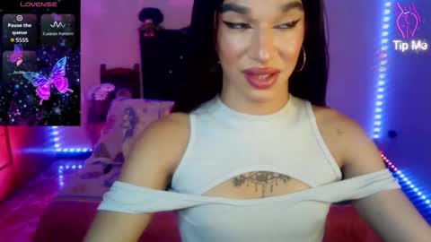 Terra obsession online show from 03/23/26, 06:45