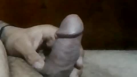 texasbigdaddy63 online show from 09/19/25, 10:43