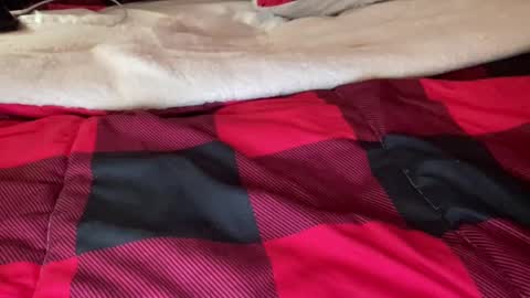 Derick online show from 12/06/24, 06:59