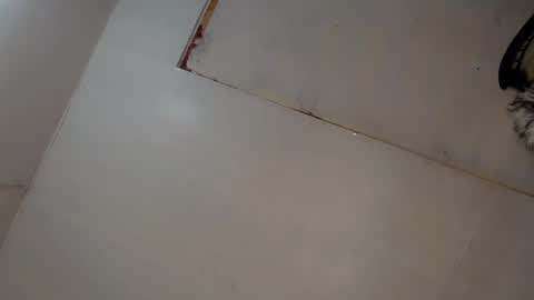 Luna online show from 03/08/25, 03:06