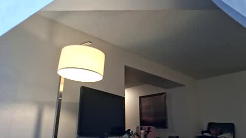 Snapshot of tgirlfairy chatting on 08/01/26, 05:56 sexi lexi online show from 08/01/26, 05:56