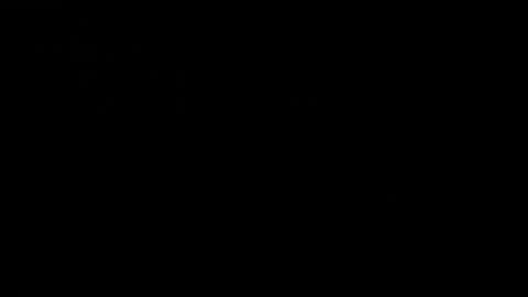 CJ online show from 12/19/24, 06:01