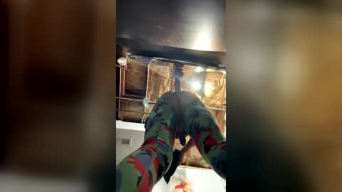 Lubedupboii online show from 07/25/26, 03:59