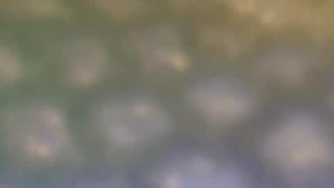 that_thing20 online show from 03/05/25, 07:06