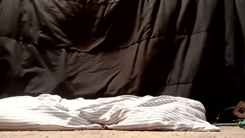 Snapshot of thatb1 chatting on 09/28/25, 05:13 thatb1 online show from 09/28/25, 05:13