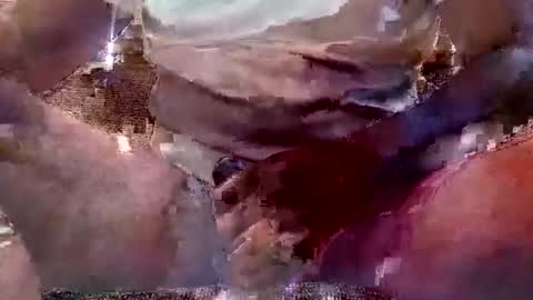 Snapshot of thatguy_bda22 chatting on 02/11/25, 01:51 That Guy J online show from 02/11/25, 01:51