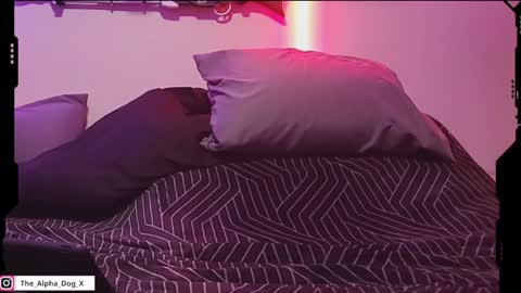 Snapshot of the_alpha_dog_xxx chatting on 02/06/25, 09:17 the_alpha_dog_xxx online show from 02/06/25, 09:17