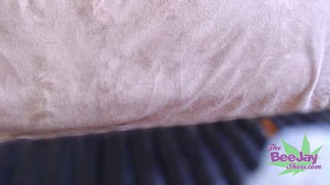 TheBeeJayShow online show from 12/04/24, 05:05