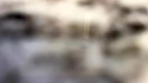 Snapshot of thebodythefeet chatting on 01/04/25, 07:23 thebodythefeet online show from 01/04/25, 07:23